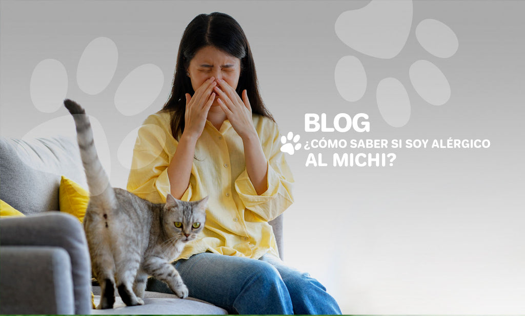 ¿Cómo saber si soy alérgico al michi?